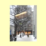 DSCN5225.JPG